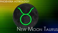 New Moon Taurus - April 2020 - Forced Restructuring